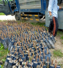 Cao su giống siêu mủ