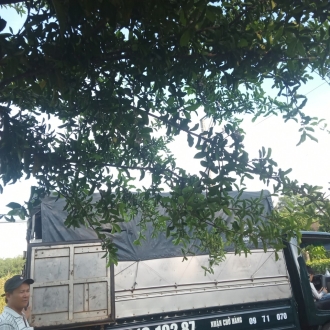 Hỗ trợ vận chuyển