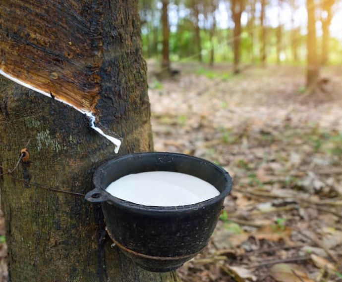 CAO SU LÀ GÌ? KHÁM PHÁ ĐẶC ĐIỂM, PHÂN LOẠI VÀ ỨNG DỤNG THỰC TẾ