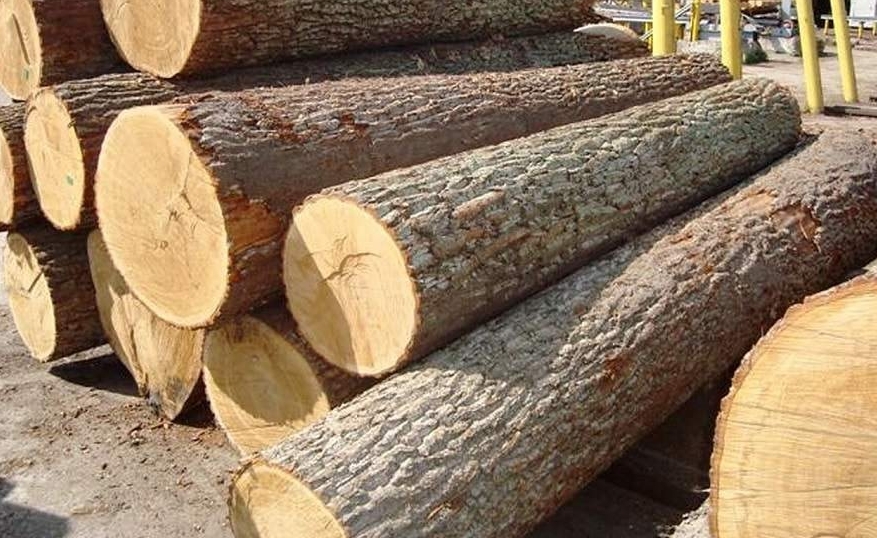 ưu nhược điểm của gỗ cao su